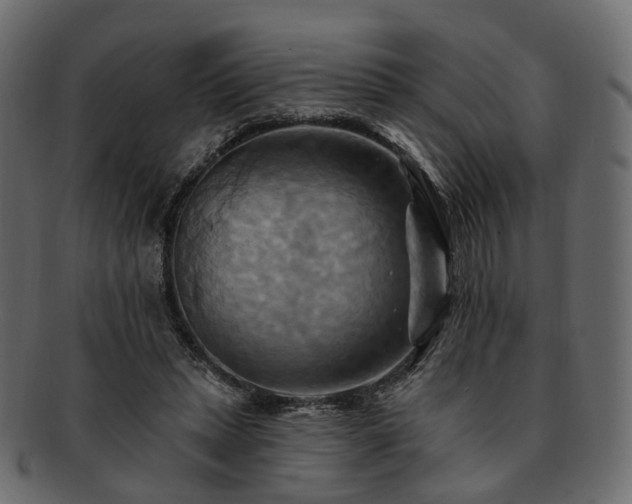 X0000093220447200710031442