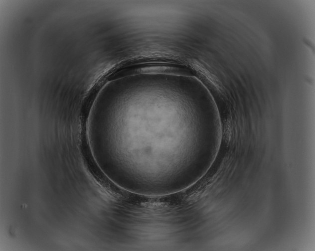 X0000093220448200710031442