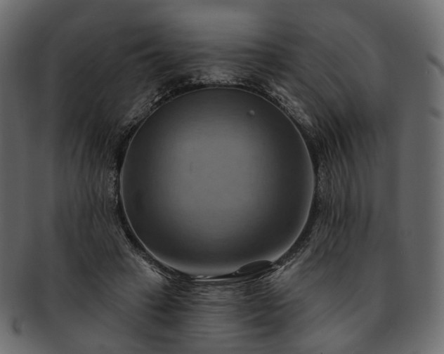 X0000093220449200710031442