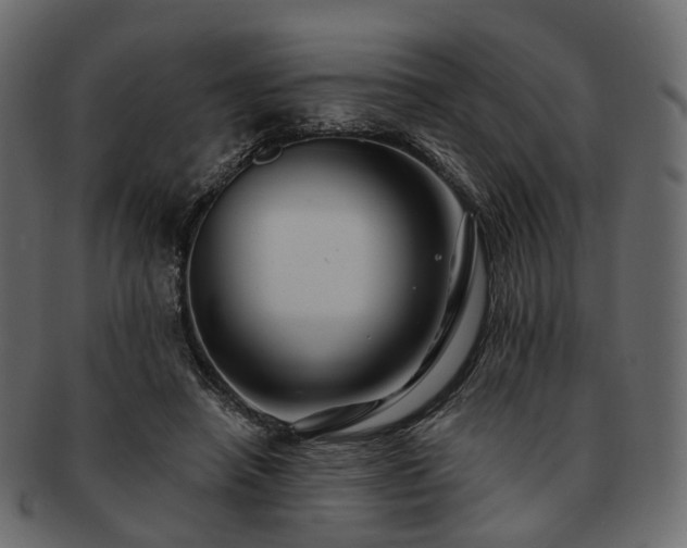 X0000093220450200710031442