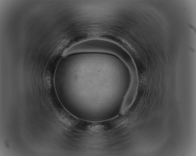 X0000093220452200710031442