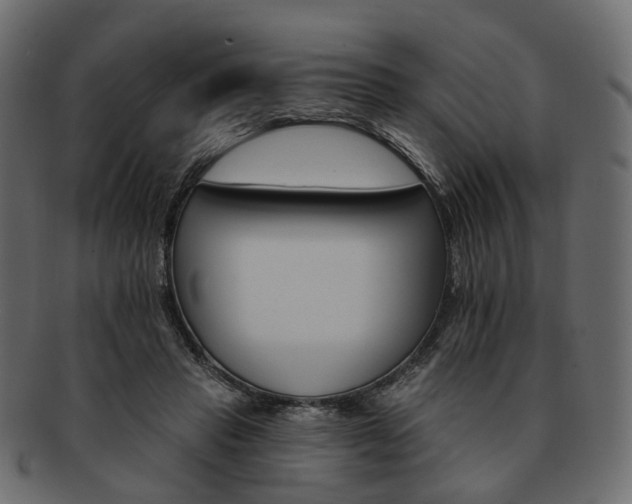 X0000093220453200710031442