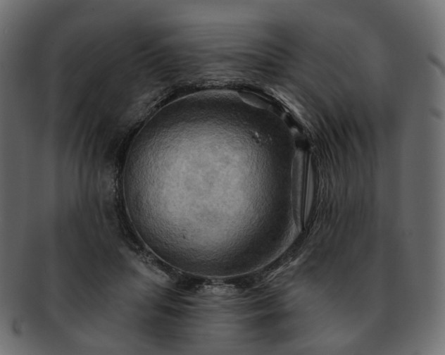 X0000093220455200710031442