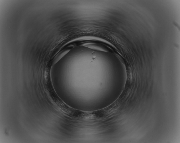 X0000093220456200710031442