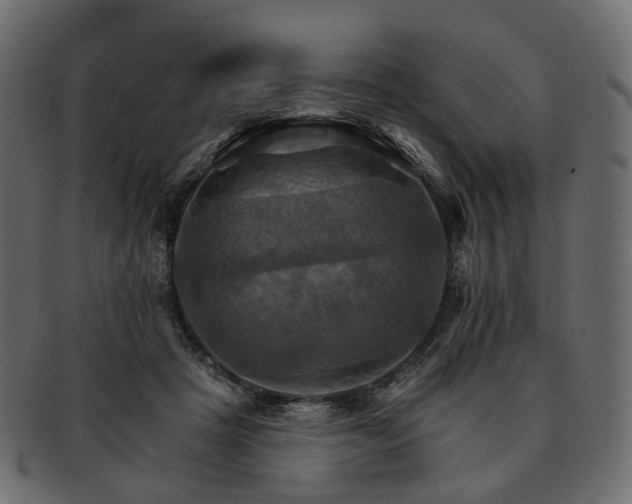 X0000093220457200710031442