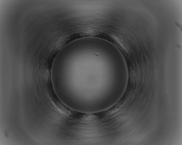 X0000093220459200710031442