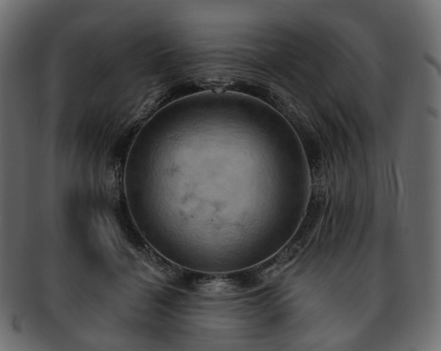 X0000093220460200710031442