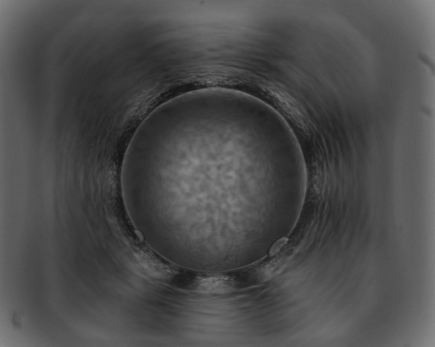 X0000093220461200710031442