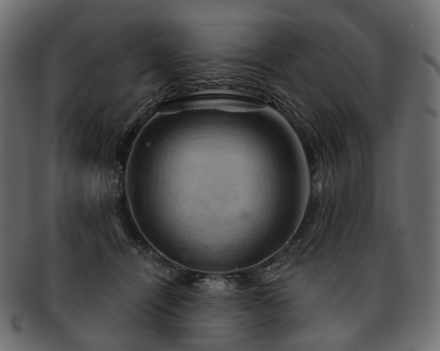 X0000093220464200710031442