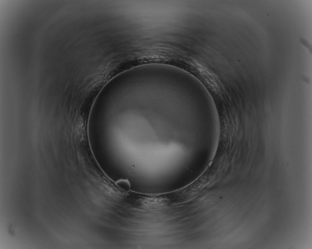 X0000093220465200710031443