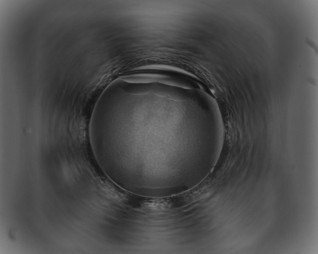 X0000093220466200710031443