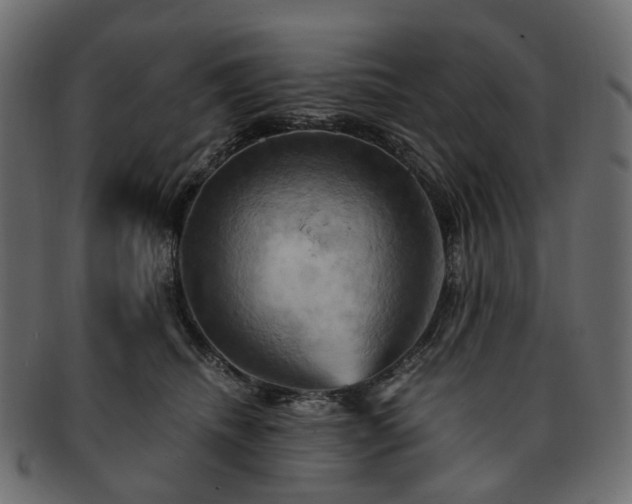 X0000093220468200710031443