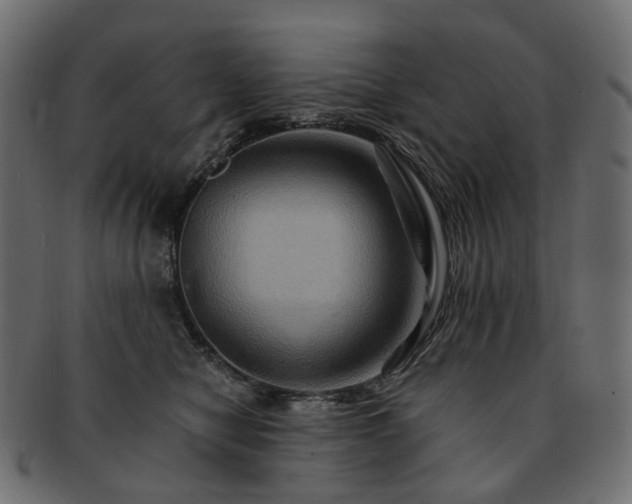 X0000093220470200710031443