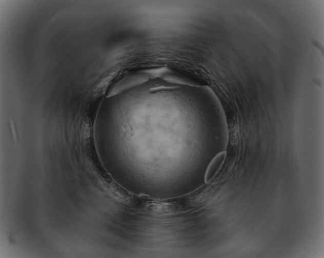 X0000093220472200710031443