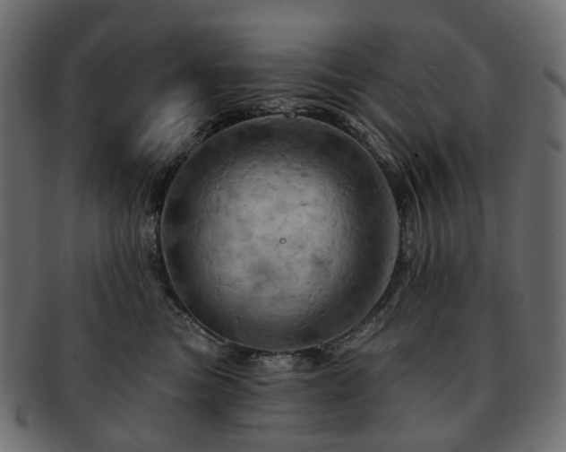 X0000093220473200710031443