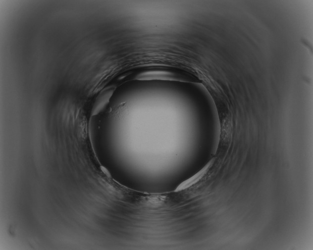 X0000093220474200710031443