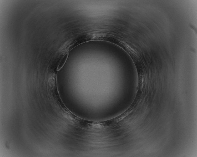 X0000093220475200710031443