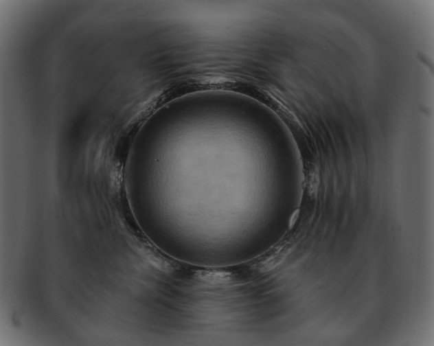 X0000093220476200710031443