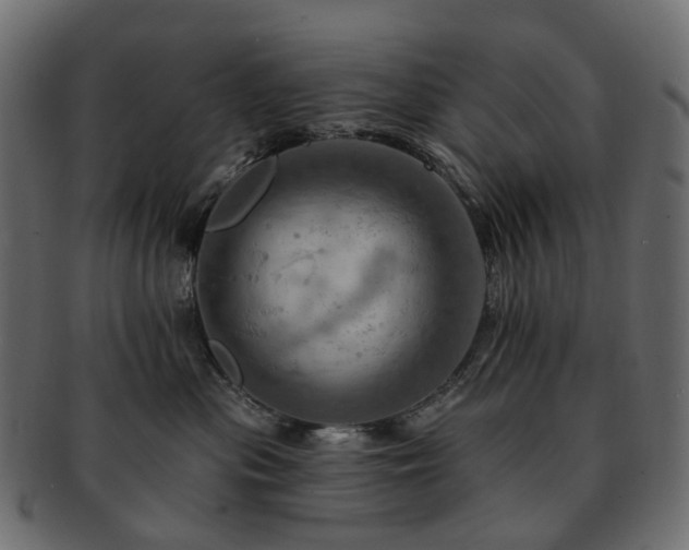 X0000093220477200710031443