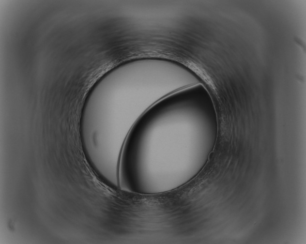 X0000093220481200710031442