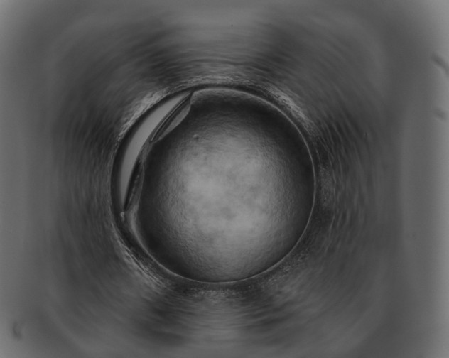 X0000093220482200710031442