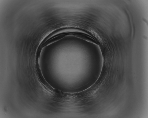 X0000093220484200710031442