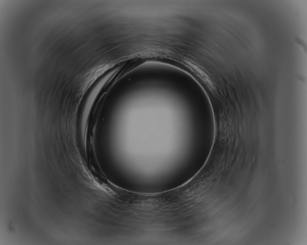 X0000093220485200710031442