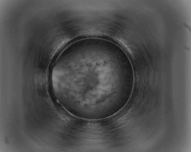 X0000093220487200710031442