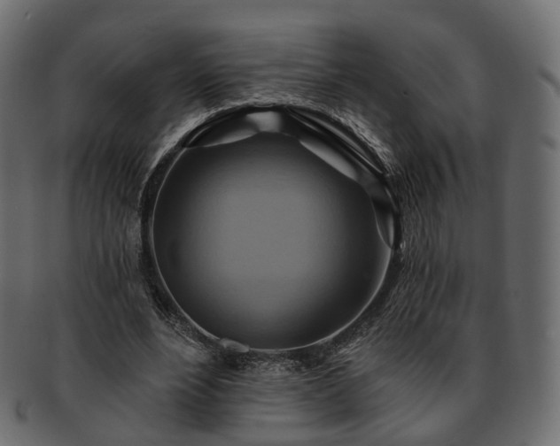 X0000093220488200710031442