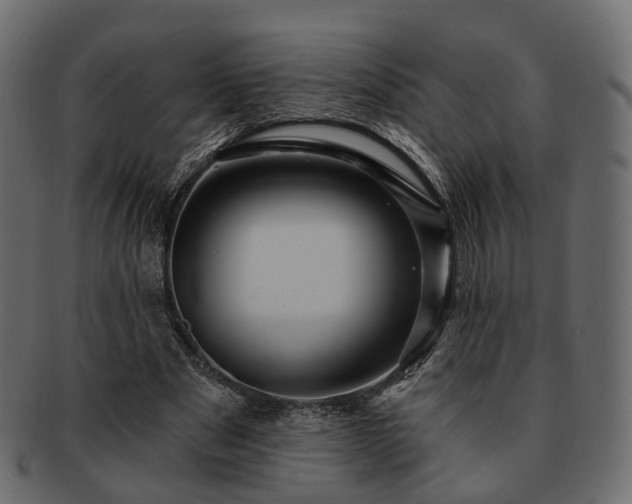 X0000093220489200710031442