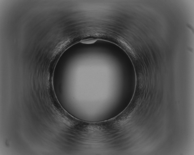 X0000093220490200710031442