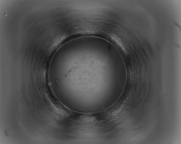 X0000093220491200710031442