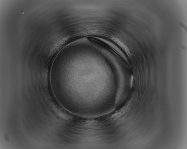 X0000093220493200710031442