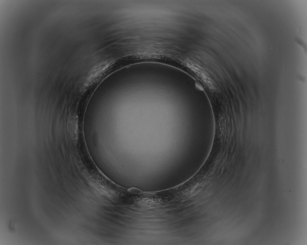 X0000093220494200710031442