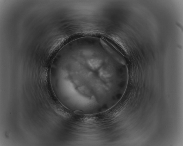 X0000093220495200710031442