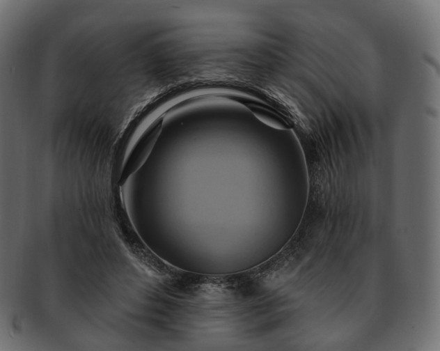 X0000093220496200710031442