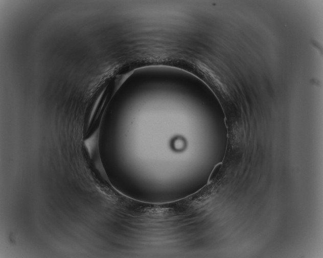 X0000093220497200710031442