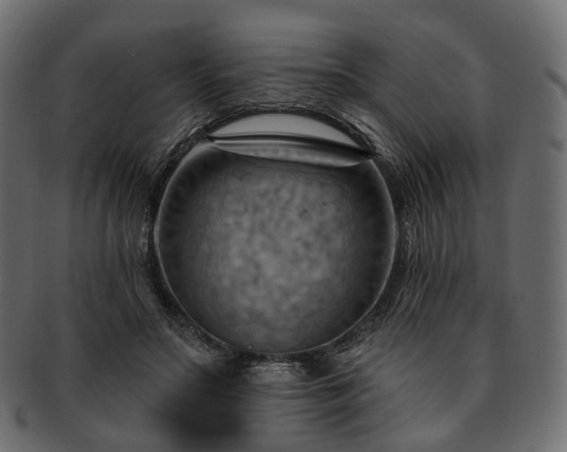 X0000093220499200710031442