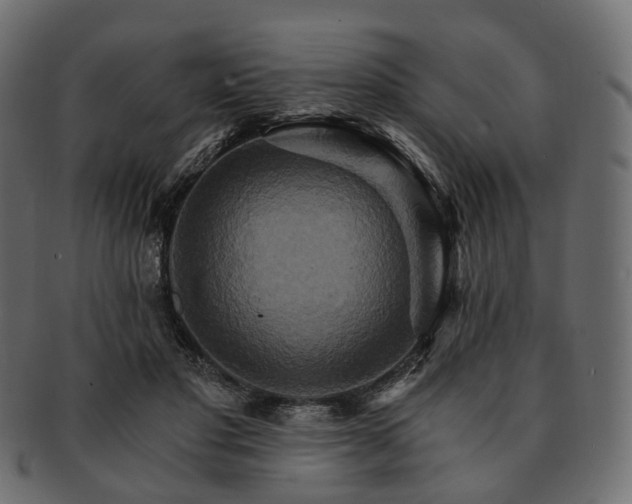 X0000093220501200710031442