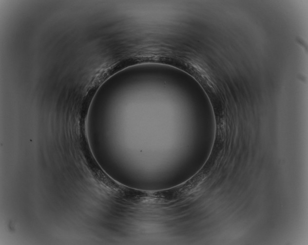 X0000093220504200710031442