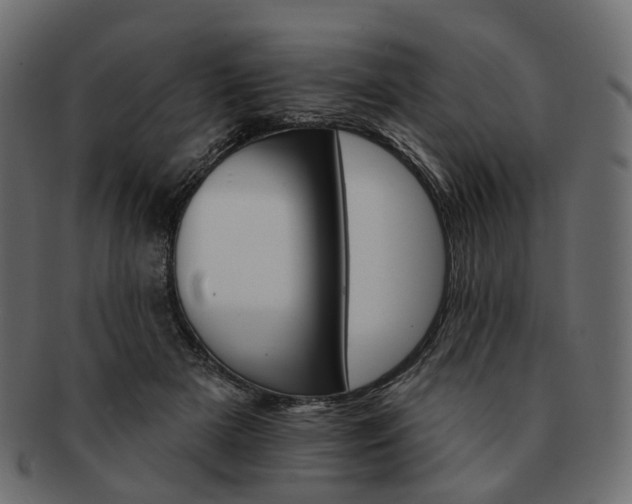 X0000093220505200710031442