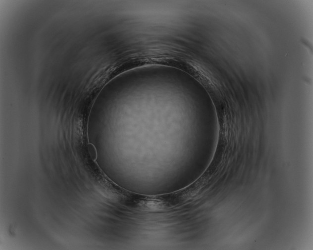 X0000093220506200710031442