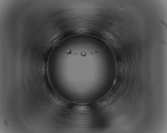 X0000093220507200710031442