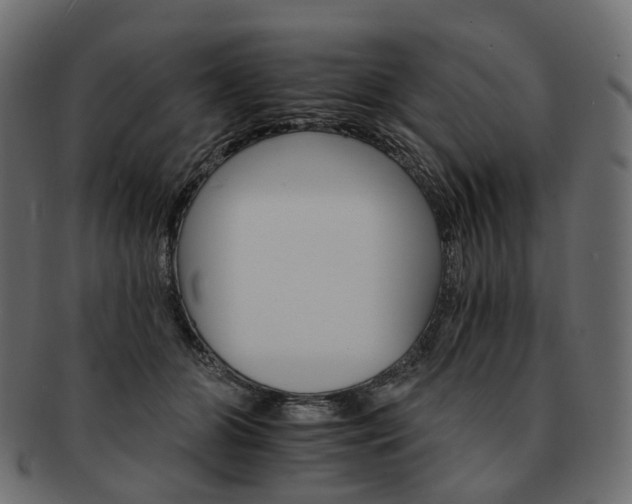 X0000093220510200710031442