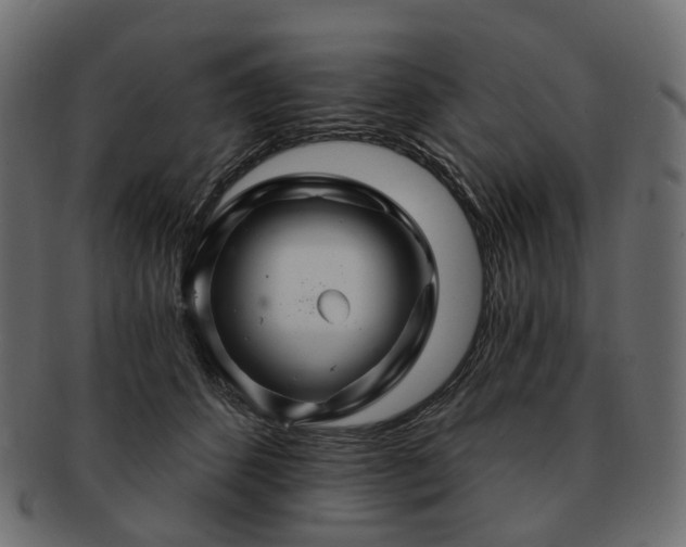 X0000093220512200710031442