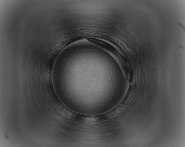 X0000093220513200710031442