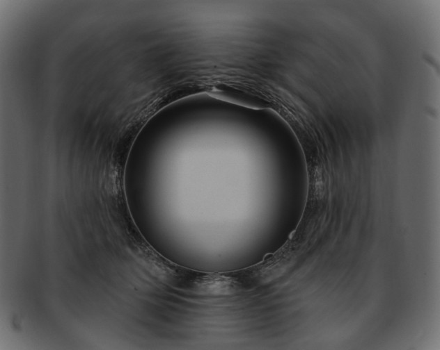 X0000093220514200710031442