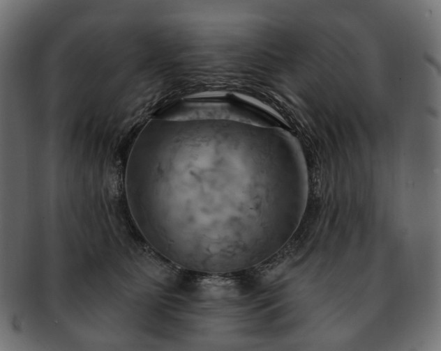 X0000093220515200710031442