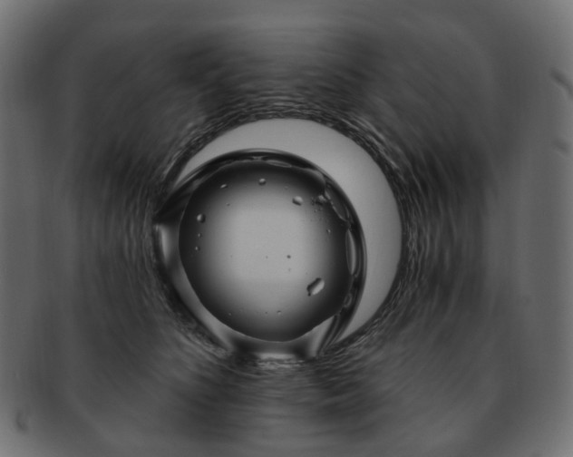 X0000093220516200710031442