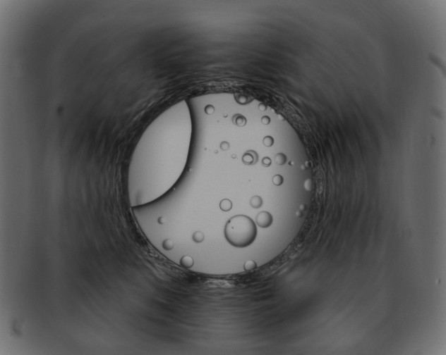 X0000093220519200710031442